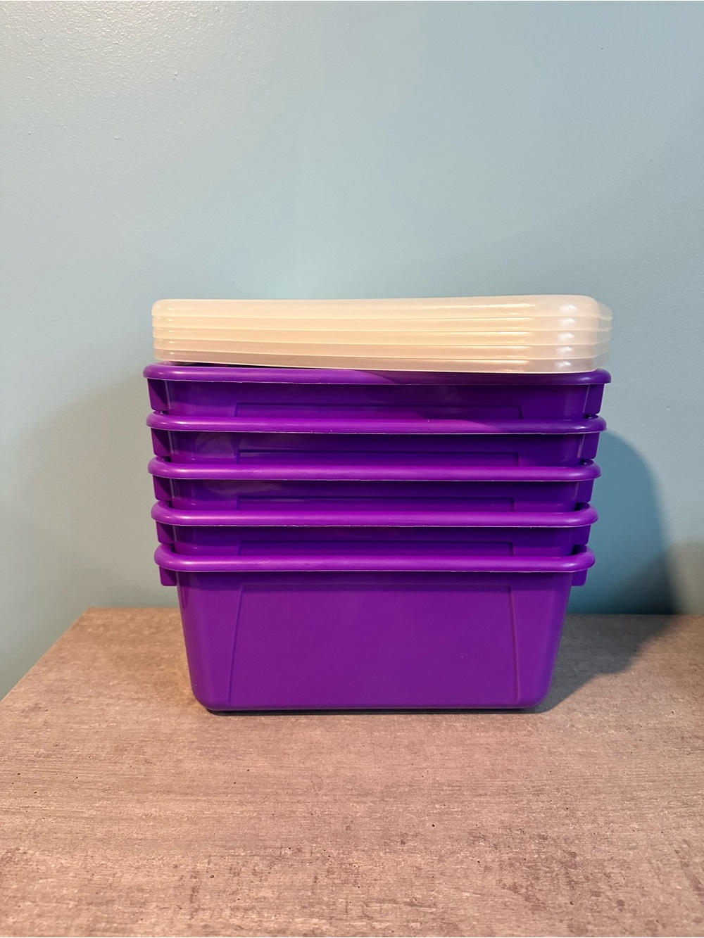 Purple Plastic Storage Bins with Lids - Set of 5